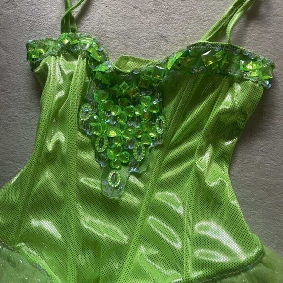 EUC Dreamgirl Green Fairylicious Women's Costume size Medium - Picture 2 of 7